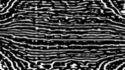 black n white :: doublerank