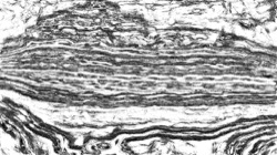 black n white :: srcproc14