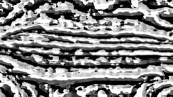 black n white :: srcproc4