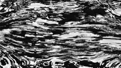 black n white :: srcproc8