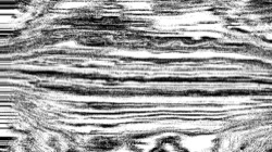 black n white :: srcproc9