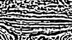 black n white :: srcprocbwskel1