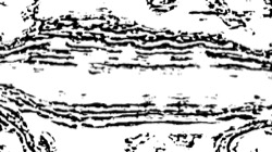 black n white :: srcprocbwskel3