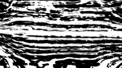 bw chamfer :: orientmod1