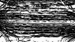 bw chamfer :: outline2