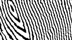 image: image from bw chamfer 3