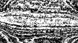 image: image from bw chamfer 3