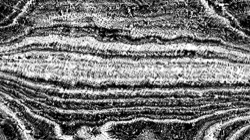 image: image from bw chamfer 3