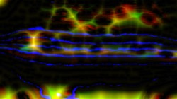 colour chamfer :: z1