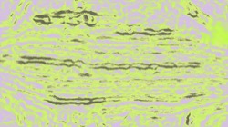 flat print effects :: srcproc15