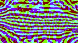 image: image from fsa filters