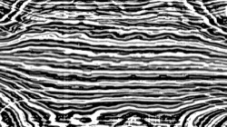 image: image from fsa filters