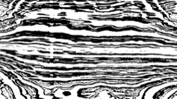 image: image from fsa filters