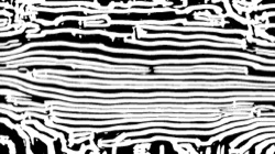 image: image from screening