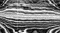 image: image from screening