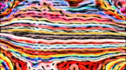 image: image from sketchy