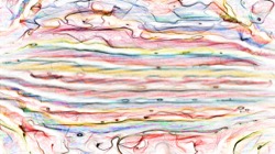 image: image from sketchy