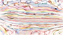 image: image from sketchy