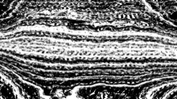 src proc n1 :: orientstripes