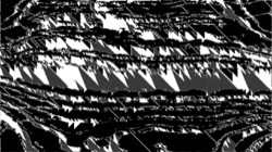 image: image from ca noise proc