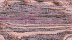 source abstract :: chaossfield