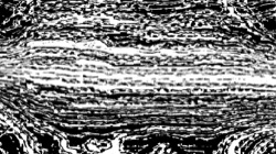 image: image from source process