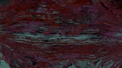 image: image from src efx 1