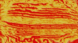 image: image from src efx 2