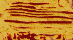 image: image from src efx 2