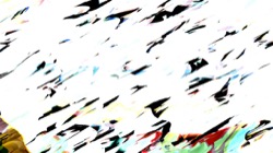 image: image from src proc 2