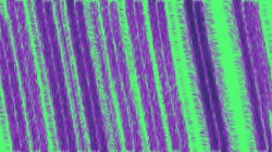 image: self&nbsp;animating thumbnail