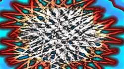 image: image from anim test 2