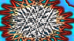 image: tg&nbsp;anim thumbnail