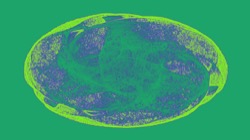 image: tg&nbsp;anim thumbnail