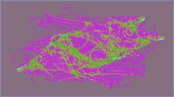 image: image from attrt