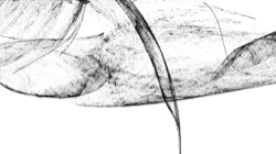 image: image from attrt