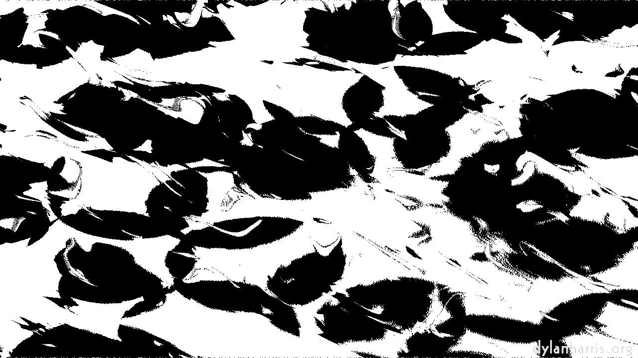 image: fun :: bw&nbsp;beans&nbsp;threshold