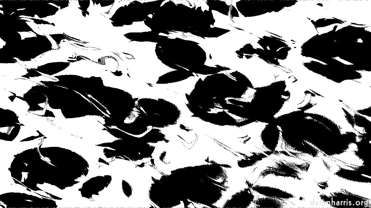 image: fun :: bw&nbsp;beans&nbsp;threshold&nbsp;tg1