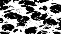 image: image from fun