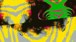 image: image from fun