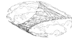 image: image from test