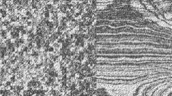 image: image from trouble