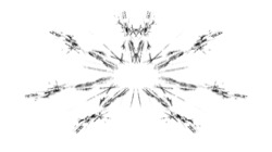 image: image from chaos generators (animated)