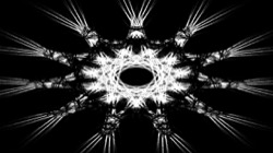 image: image from chaos generators (animated)