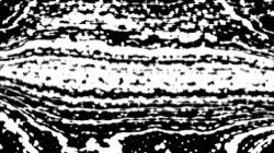 source processors :: bwreticulation