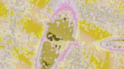 image: image from abstract