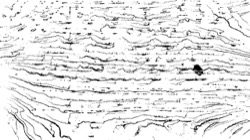 image: image from abstraction 1