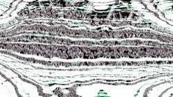 image: image from abstraction 1