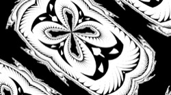 image: image from bw attractor