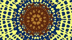 image: image from circular